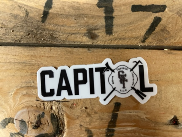 Capitol Fire Helmet Sticker
